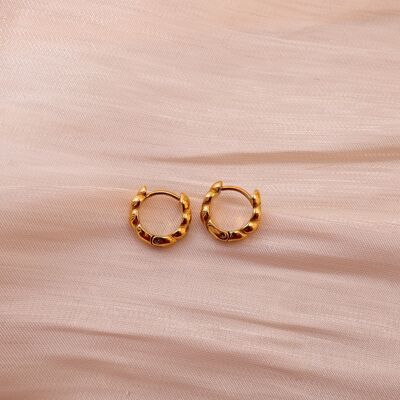 Golden earrings, mini hoops