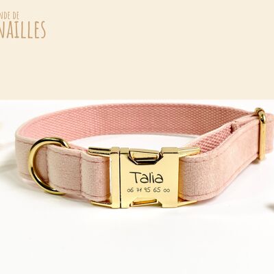 Collier Chien Personnalisé Velours Rose