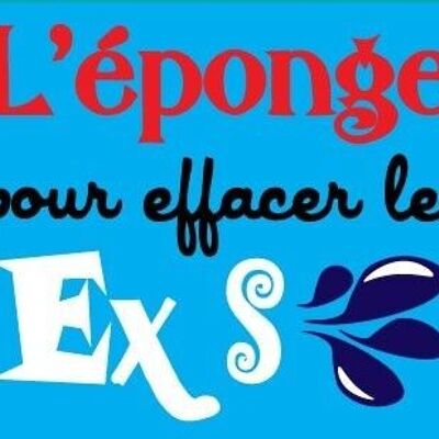 EPONGE DE MENAGE PM85-EXS