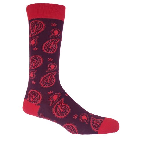 Paisley Men's Socks - Burgundy