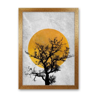 Der Sunset Tree Kunstdruck von Essentially Nomadic