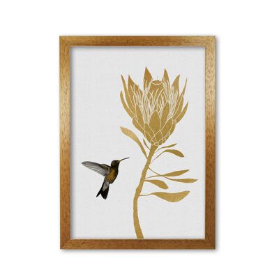 Hummingbird & Flower I Print By Orara Studio