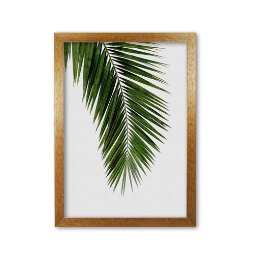 Palm Leaf I Print By Orara Studio, Framed Botanical & Nature Art Print