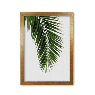 Palmblatt, das ich von Orara Studio drucke, gerahmter botanischer und Natur-Kunstdruck