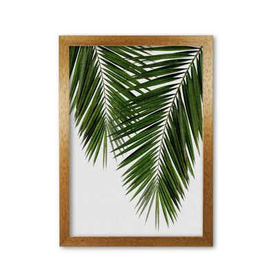 Impresión de hoja de palma II de Orara Studio, enmarcada Botánica y naturaleza Lámina artística