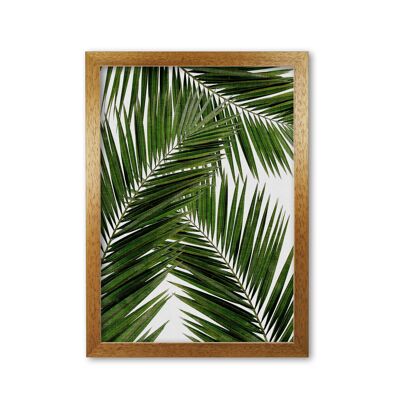 Stampa foglia di palma III di Orara Studio, stampa artistica botanica e naturalistica incorniciata