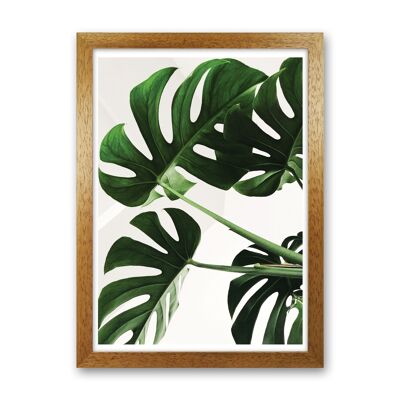 Monstera Leaf Modern Print, Framed Botanical & Nature Art Print