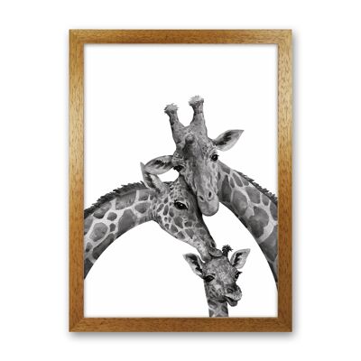 Giraffe Family Photography Stampa artistica di Seven Trees Design