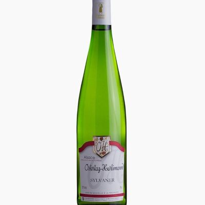 Sylvaner - Dry wine - Alsace - white