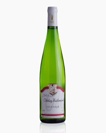 Sylvaner - Vin sec - alsace - blanc