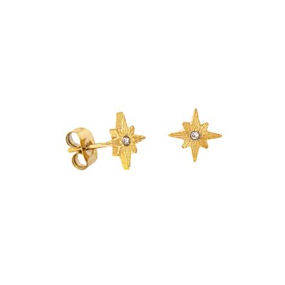 Shiny Anna Stud Earrings Gold