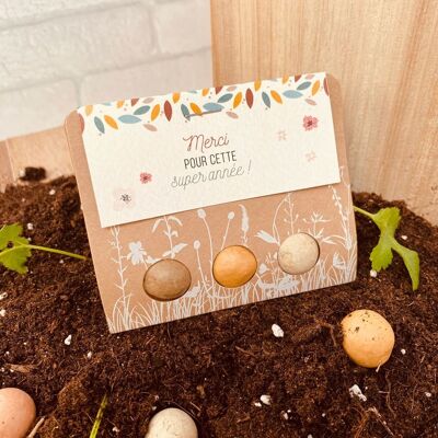 Billes de fleurs à planter - Merci pour cette super année - cadeau maitresse fin année scolaire