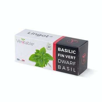 Lingot® Basilic Fin vert BIO - Recharge prête à l'emploi 1