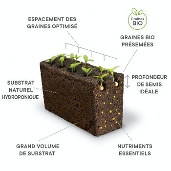 Lingot® Basilic Fin vert BIO - Recharge prête à l'emploi 3