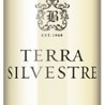 White Wine - Portugal - Tejo Terra Silvestre 2018