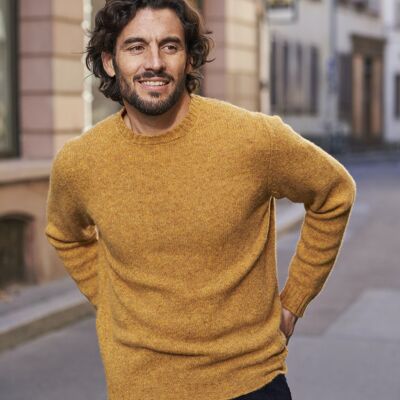 Allan sweater in mustard yellow wool
