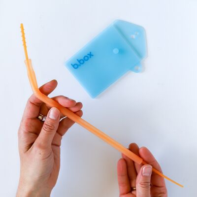 silicon straw travel set