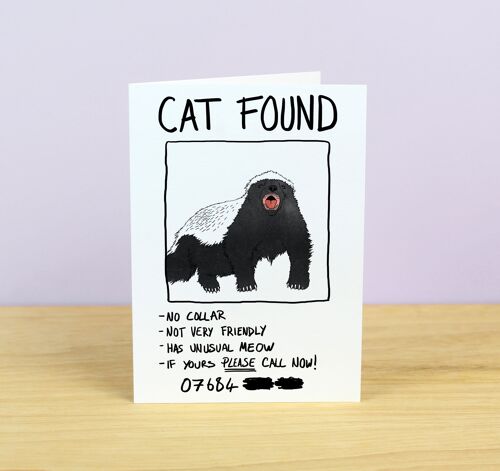 Funny Cat Found (mistaken Identity) Greetings Card