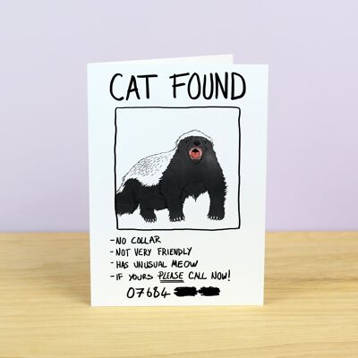 Lustige Katze gefunden (falsche Identität) Grußkarte