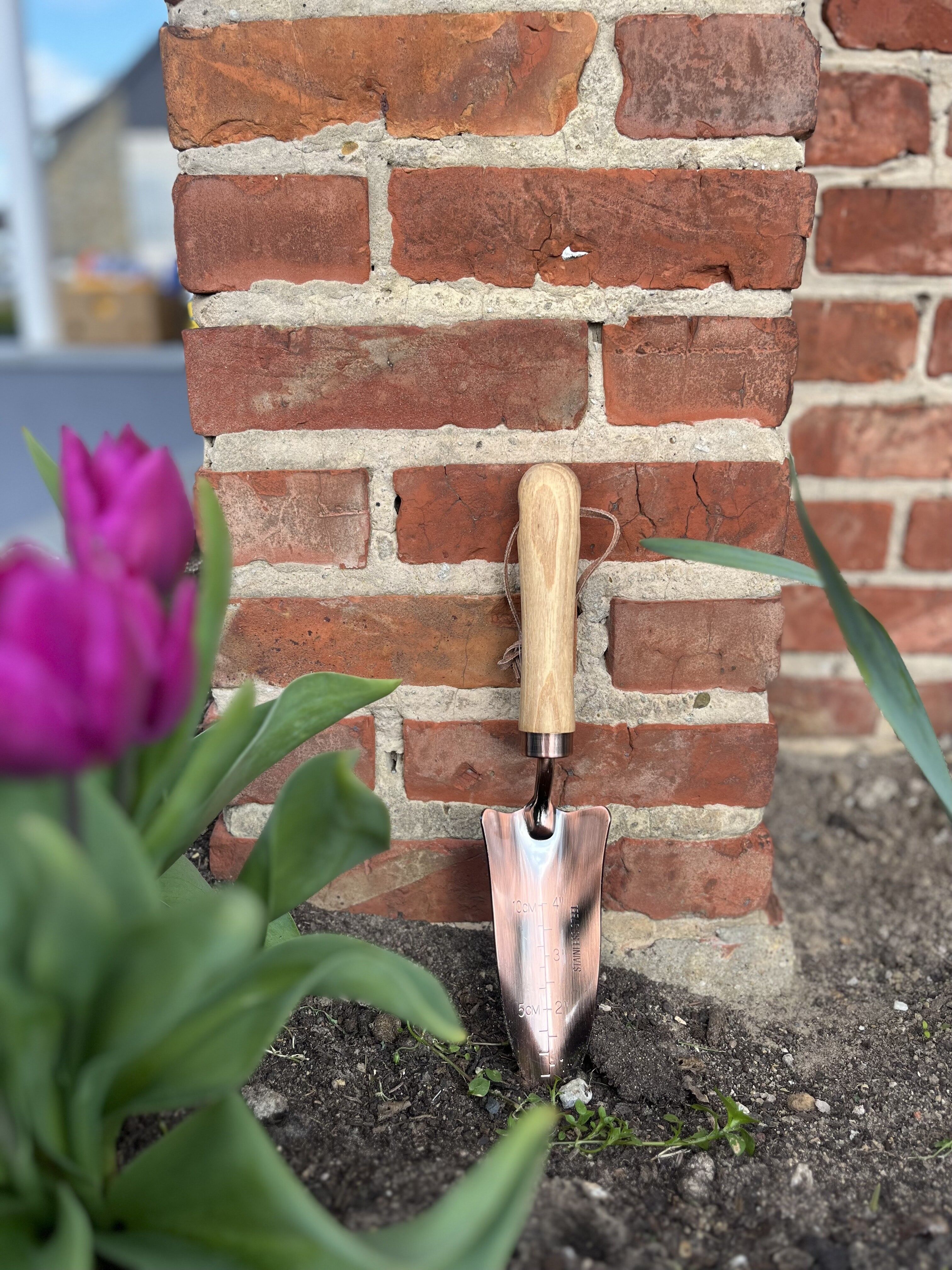 Botang Koperen Transplanter met Houten Handvat (32,5 x 6,5 cm)