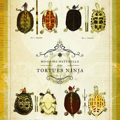 Historia natural de las Tortugas Ninja • Los héroes de nuestra infancia