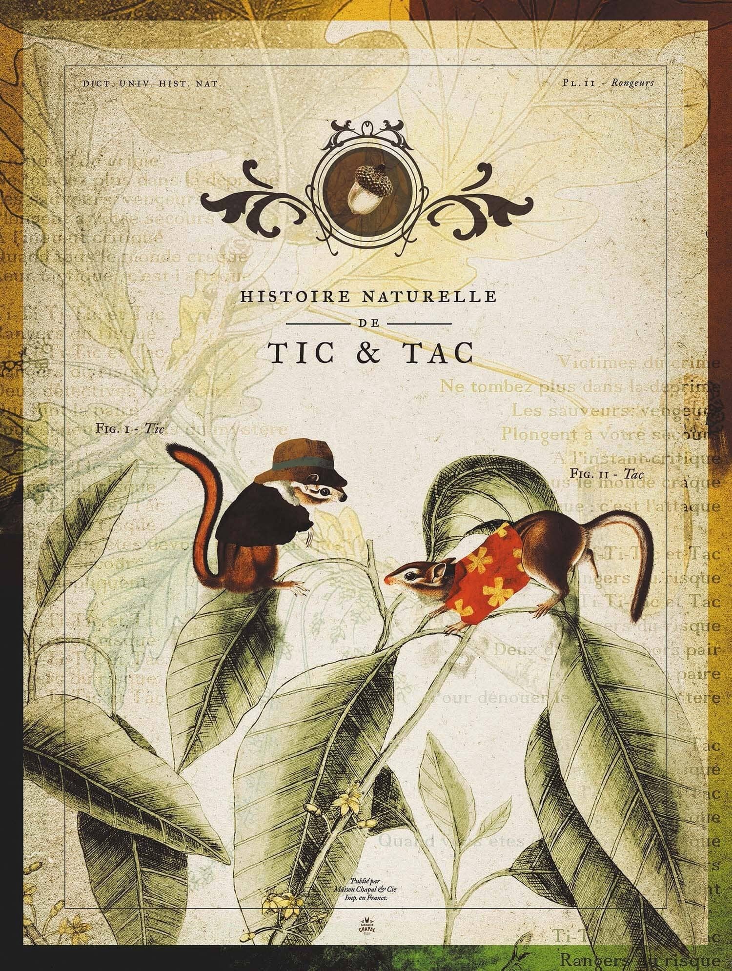 Naturgeschichte von Tic & Tac, Rangers of Risk • Die Helden unserer Kindheit