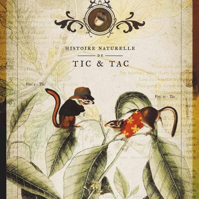 Historia natural de Tic & Tac, Guardabosques del riesgo • Los héroes de nuestra infancia