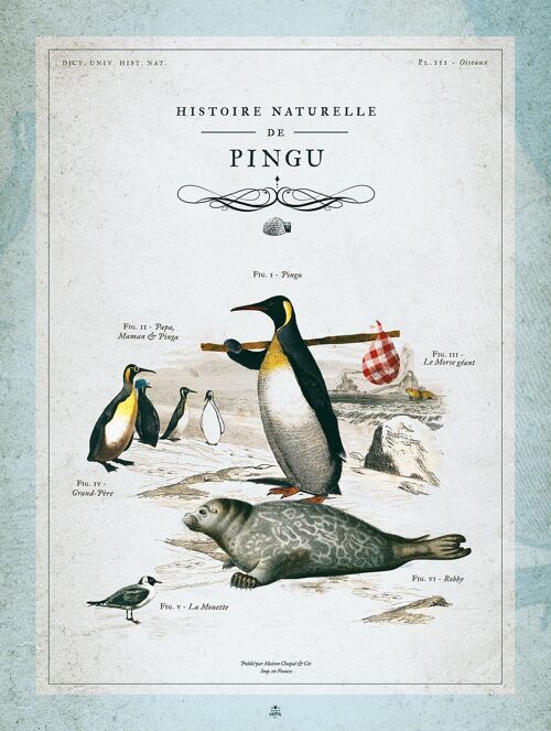 Histoire naturelle de Pingu • Les Héros de notre enfance
