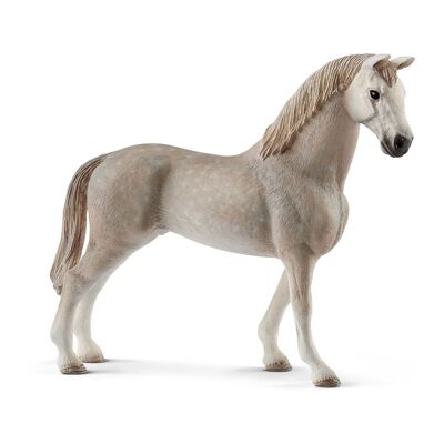 SCHLEICH Horse Club Holsteiner Gelding Toy Figure, 5 to 12 Years, Gray (13859)