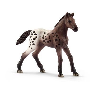 SCHLEICH Horse Club Appaloosa puledro giocattolo, da 5 a 12 anni, marrone/bianco (13862)