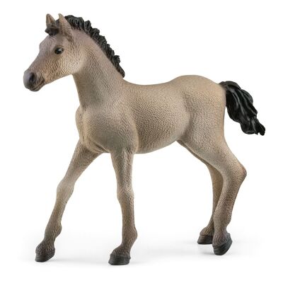 SCHLEICH Horse Club Criollo Definitive Foal Toy Figure, da 5 a 12 anni, marrone (13949)