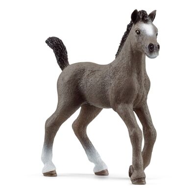 SCHLEICH Horse Club Selle Francais Foal Toy Figure, 5 to 12 Years, Gray (13957)