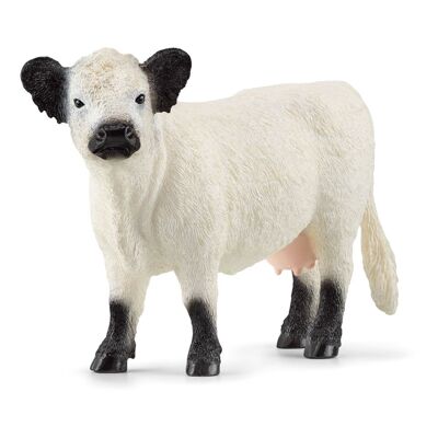 SCHLEICH Farm World Figurine Vache Galloway, 3 à 8 ans, Blanc/Noir (13960)