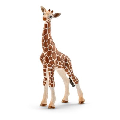 SCHLEICH Wild Life Giraffe Kalb Spielfigur (14751)