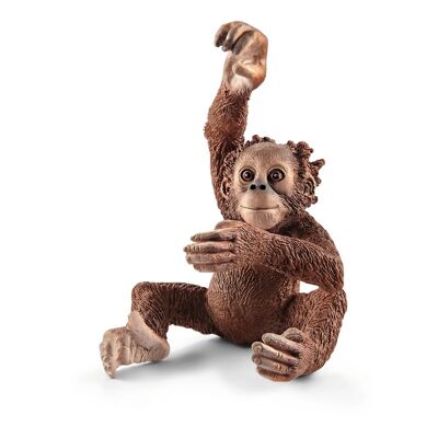 SCHLEICH Wild Life Young Orangutan Toy Figure, Marron, 3 à 8 ans (14776)