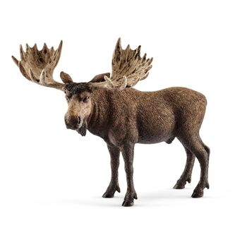 SCHLEICH Wild Life Moose Bull Toy Figure, 3 à 8 ans (14781)