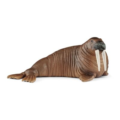 SCHLEICH Wild Life Walrus Toy Figure, 3 to 8 Years (14803)