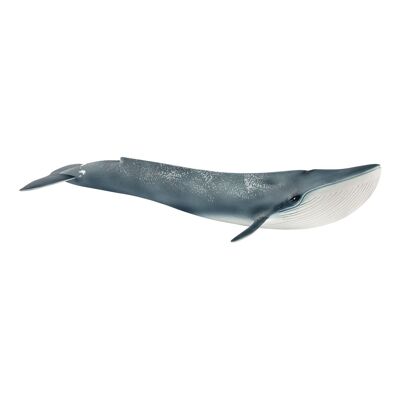 SCHLEICH Figura giocattolo balena blu Wild Life (14806)