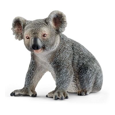SCHLEICH Wild Life Koala Bear Toy Figure, 3 à 8 ans (14815)