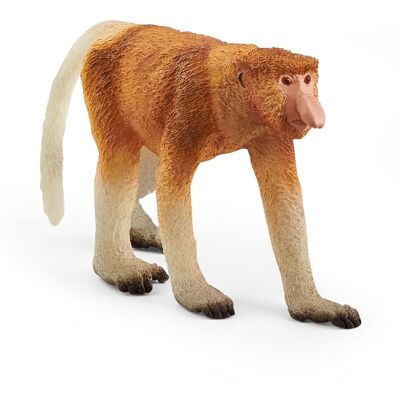 SCHLEICH Wild Life Proboscis Monkey Toy Figure, 3 à 8 ans, Multicolore (14846)