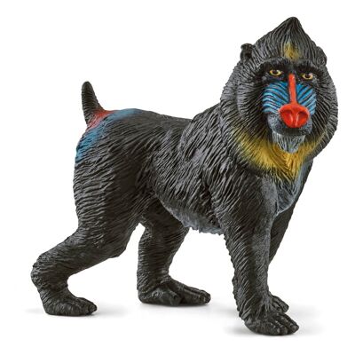 SCHLEICH Wild Life Mandrill Toy Figure, 3 to 8 Years, Multi-coloured (14856)