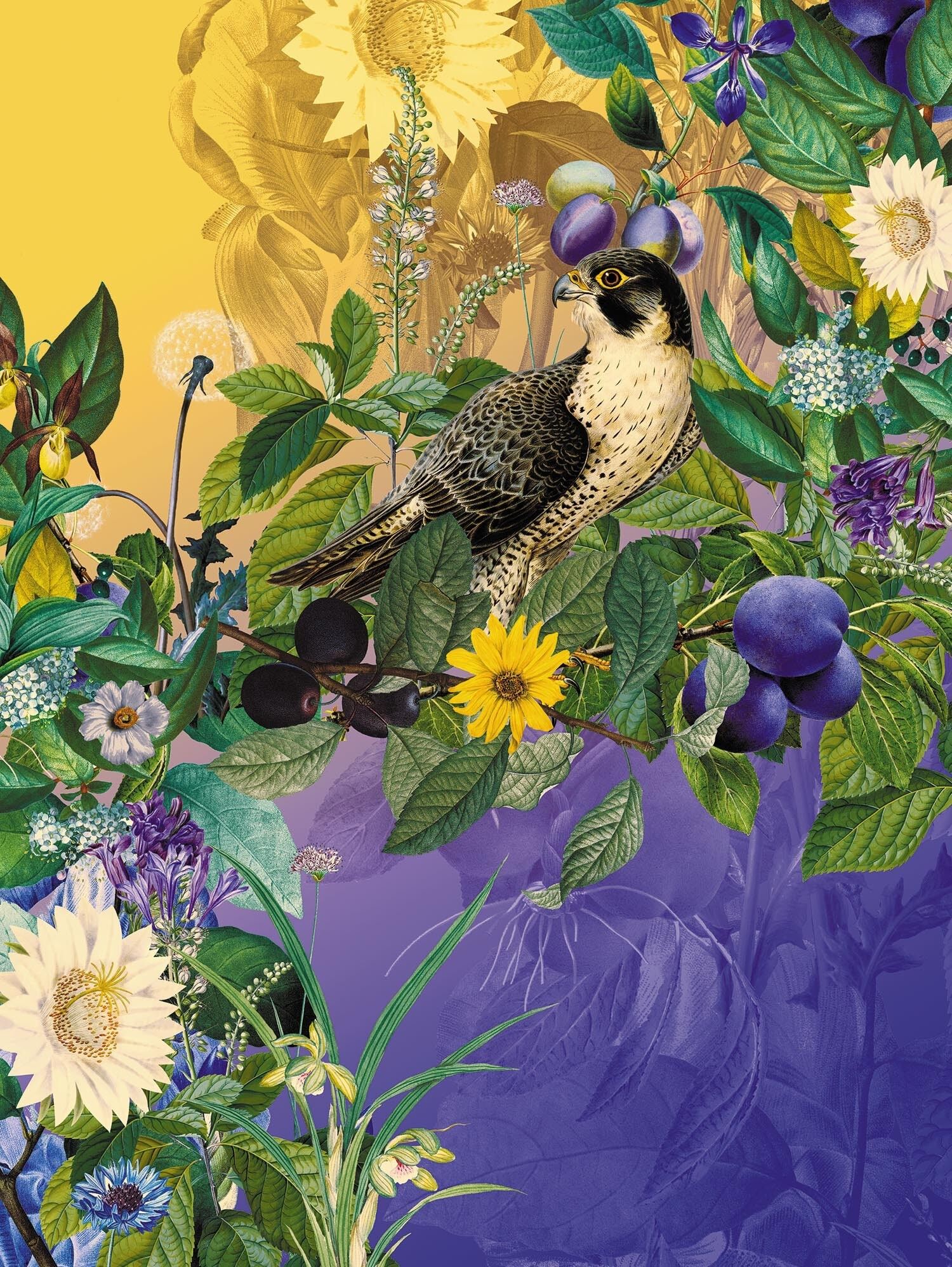 Poster Geheimer Garten Nr. 3 • Der Falke