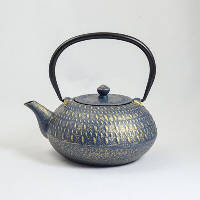 Cast iron teapot | Iron jug | Tebie