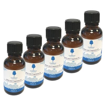 25 ml di olio profumato Mystery Starter Set - Set da 5, 10, 20 - Mystery Selection Box