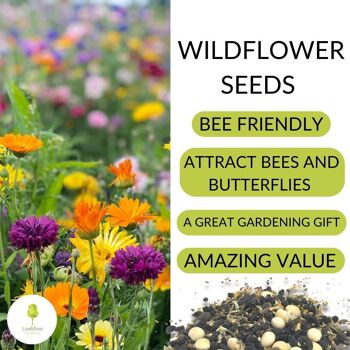 LiveMoor Wild Flower Meadow Seeds - Aidez à sauver la population d'abeilles du Royaume-Uni 3