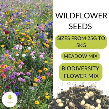 LiveMoor Wild Flower Meadow Seeds - Aidez à sauver la population d'abeilles du Royaume-Uni 4