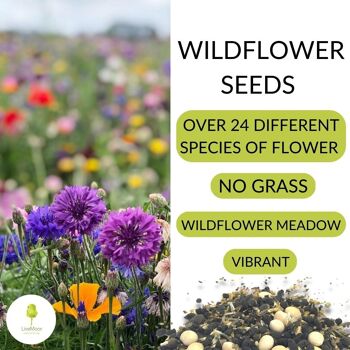LiveMoor Wild Flower Meadow Seeds - Aidez à sauver la population d'abeilles du Royaume-Uni 5