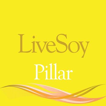 Cire LiveSoy™ (Pillar & Melt) - Pour bougies piliers et cires fondues - Différentes tailles 3
