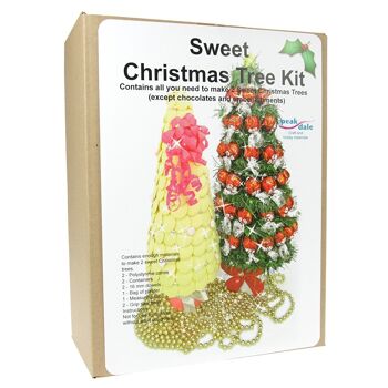 Faites votre propre - Kit de sapin de Noël sucré, cônes en polystyrène, contenants, plâtre 1