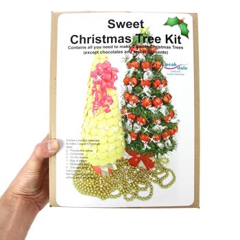 Faites votre propre - Kit de sapin de Noël sucré, cônes en polystyrène, contenants, plâtre 3